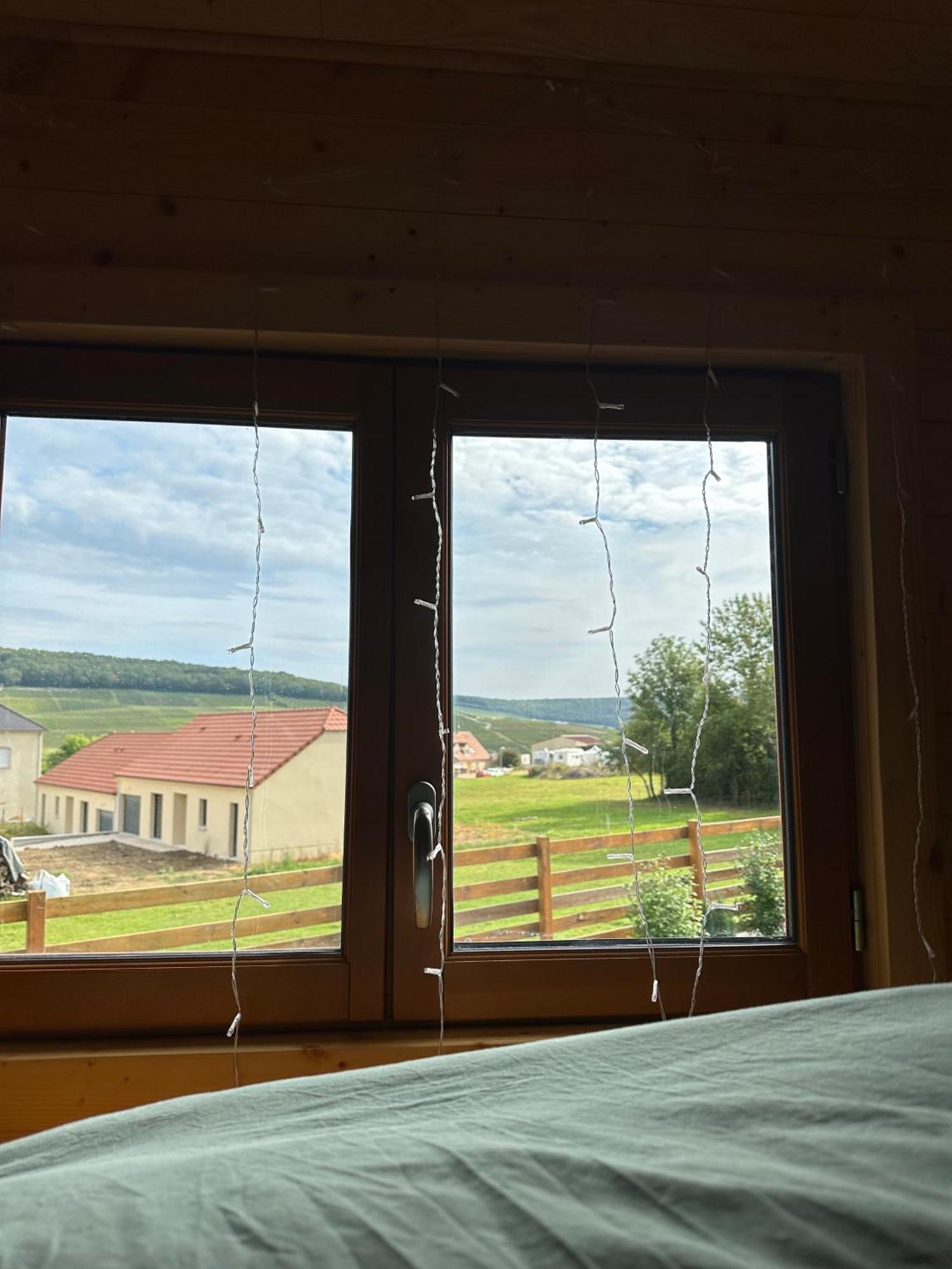 Chez Celia, Roulotte En Champagne Villa Fleury-la-Riviere Dış mekan fotoğraf